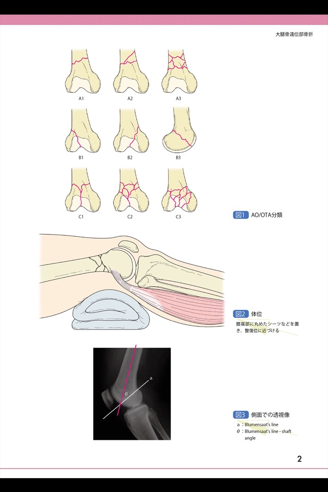 Medical View eBook Library screenshot 2