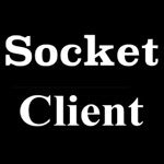 SocketClient