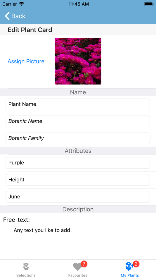 #10. Flower Field (iOS) By: Per Leif Dogger
