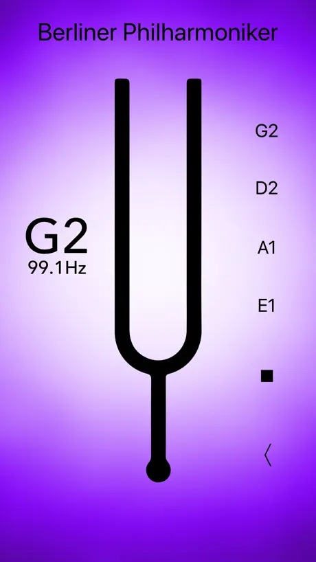 Double Bass Tuner Professional