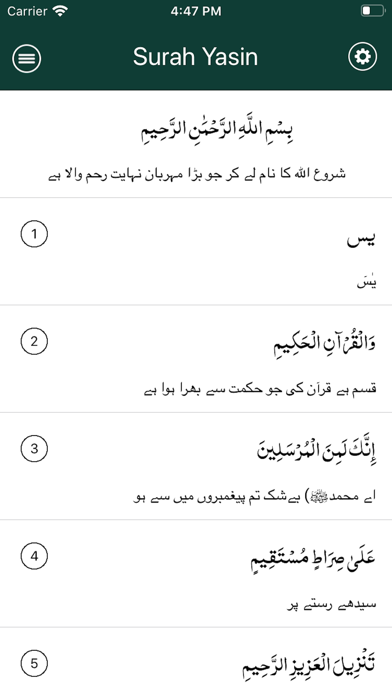 Screenshot #2 pour Surah Yasin in Urdu