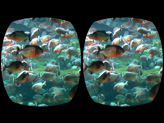 Screenshot #6 pour Aquarium Videos for Cardboard