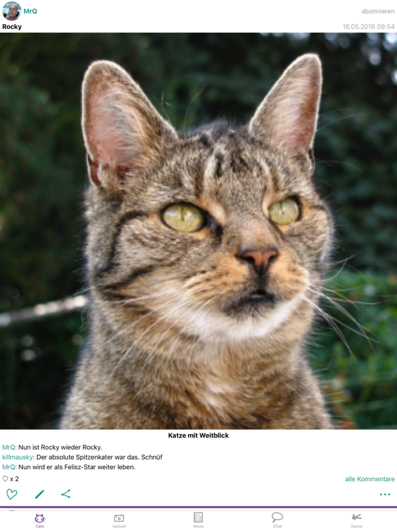 Screenshot #5 pour Felisz - Forum für Katzenfotos