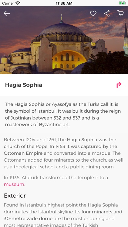 Istanbul Guide by Civitatis screenshot-8