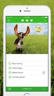 iknow dogs: identificar razas iphone capturas de pantalla 4