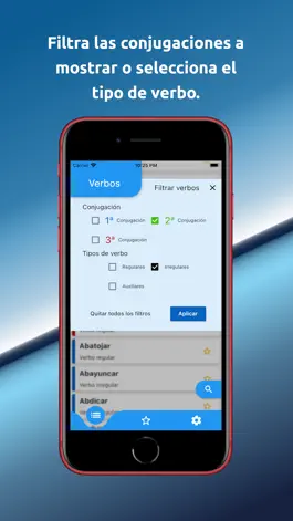 Game screenshot Verbos y Conjugaciones Español apk
