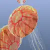 Jellyfish Chrysaora delete, cancel