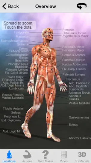 Capture d'écran de Learn Muscles: Anatomy sur iPhone 2