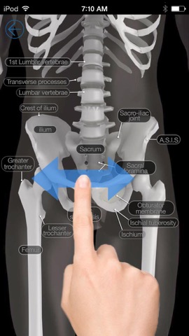 Skeletal Anatomy 3Dのおすすめ画像1