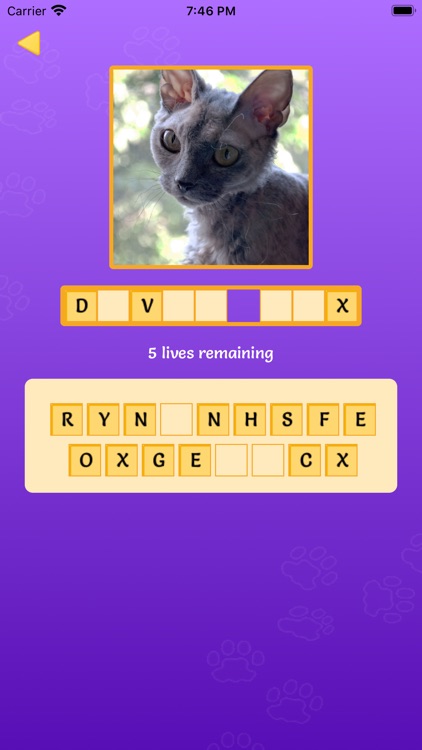 Cats: Cat breeds screenshot-3