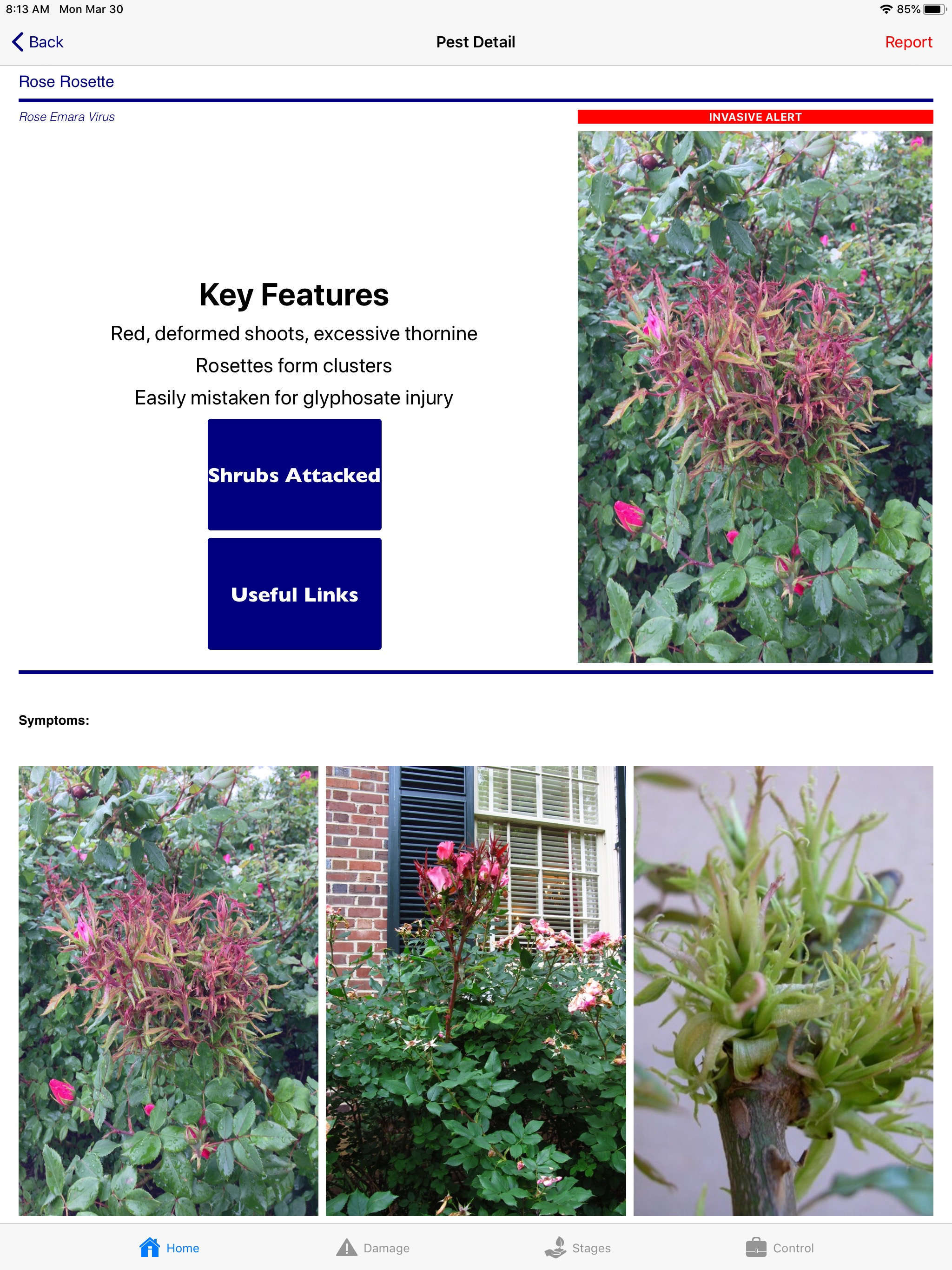 Purdue Shrub Doctor