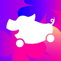 花小猪打车-出行打车全网超低一口价