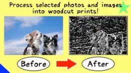 How to cancel & delete change photo/image to woodcut! 3