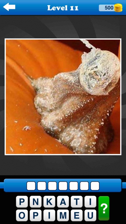 Guess the Close Up - Pics Quiz screenshot-7