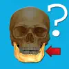 Anatomy Quiz App Support