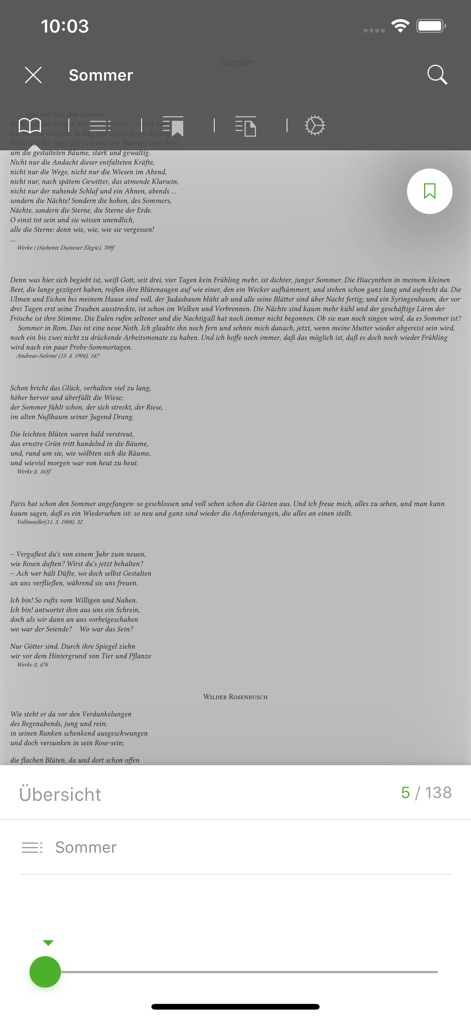Onleihe - The integrated eBook reader offers a clean text display and intuitive navigation, complemented by easily accessible reader settings and a page counter.