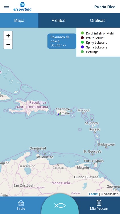 eReporting screenshot-3