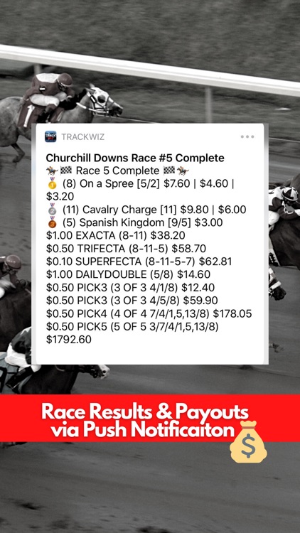 TrackWiz - Horse Race Betting screenshot-7