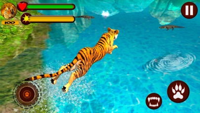 Lion Vs Tiger Screenshot