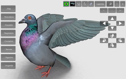 3D Bird Anatomyのおすすめ画像4