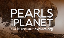 Pearls of the Planet