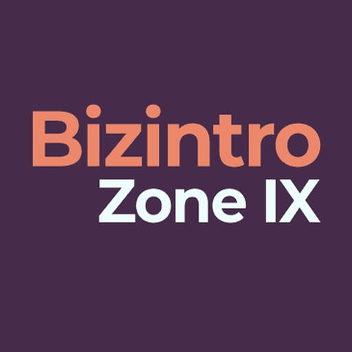 Bizintro Zone IX