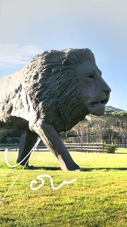 Polo Club Saint-Tropez screenshot-4