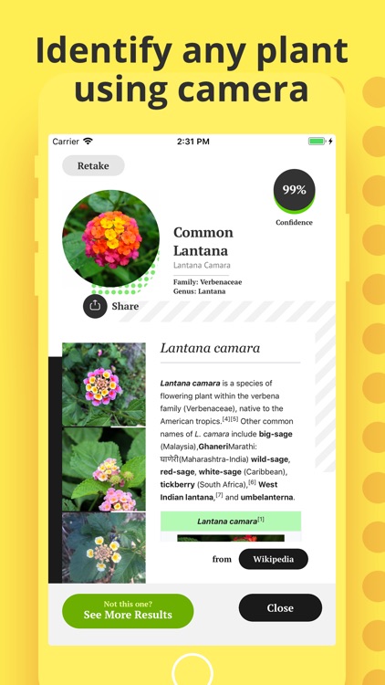 Plant Identification