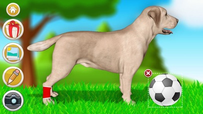 Dog Games: Pet Vet Doctor Care Screenshot