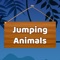 Jungle Animals is a best casual game for all