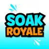 Soak Royale problems & troubleshooting and solutions