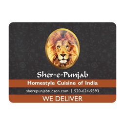 Sher-E-Punjab: Driver