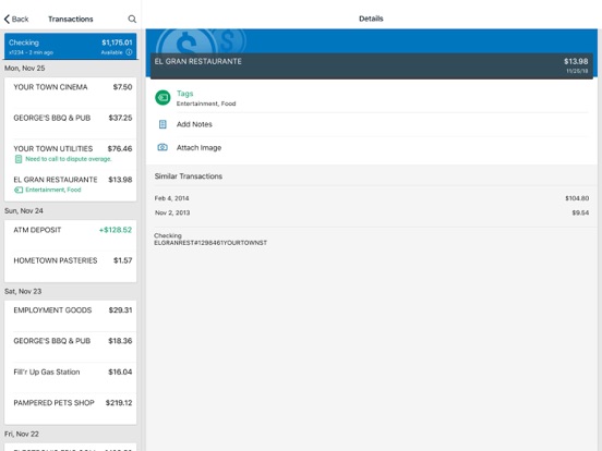 Tandem Bank iPad screenshot 3 - Finance app