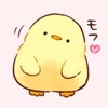 Soft and cute chick app icon - Stickers app for iPhone