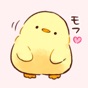 Soft and cute chick app download