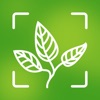 Plant Identification Live icon