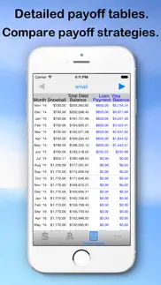 debt snowball pro - pay debt iphone screenshot 4