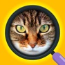 Get Close Up Pics - Quiz Word Game for iOS, iPhone, iPad Aso Report