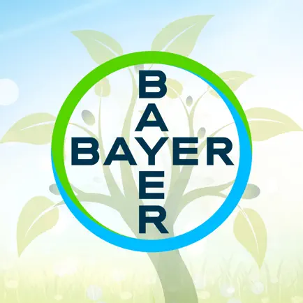 BayerKitabcha Cheats