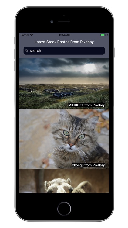 Willow Stock Photos screenshot-3
