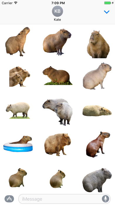 Screenshot #1 pour Capybara Stickers for Messages