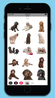 Labradoodle Stickers iphone bilder 1