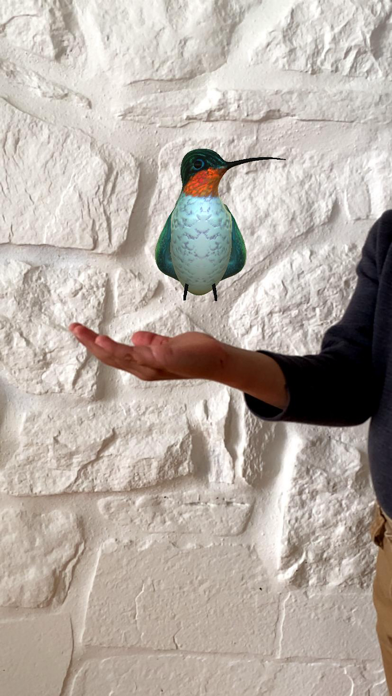 HelenaHummingbirdAR Screenshot