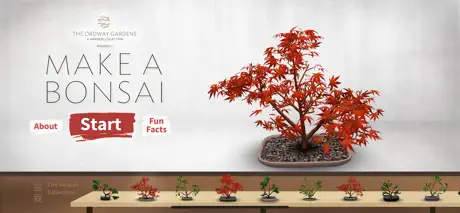 Make a Bonsai
