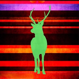 Deer Sleep - colour & sound