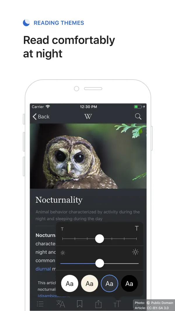 Wikipedia Screenshot 3
