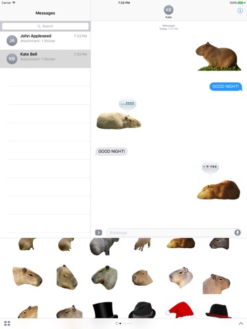 Capybara Stickers for Messagesのおすすめ画像4