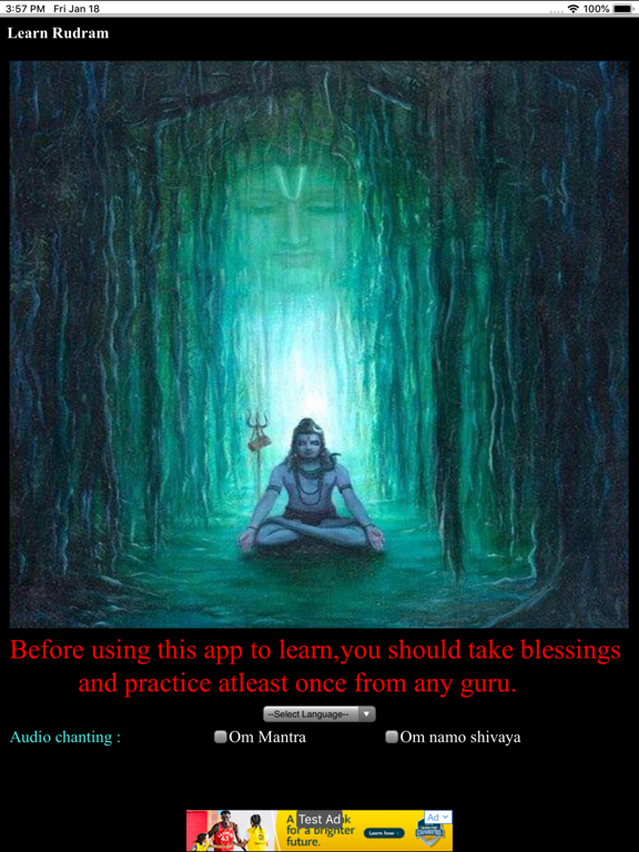 Screenshot #6 pour Learn Sri Rudram