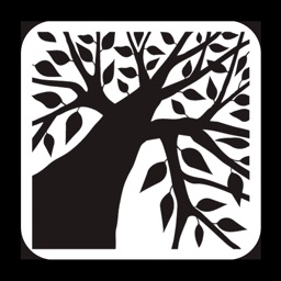 Быханов | Липецк