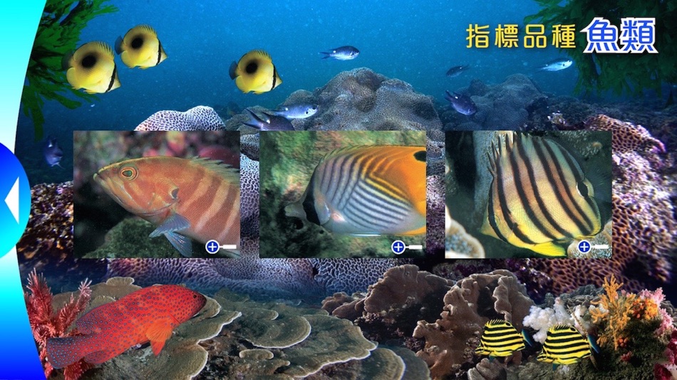 #2. Reef Check Hong Kong (iOS) 由: Agriculture, Fisheries and Conservation Department